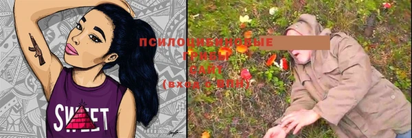 хмурый Алексеевка