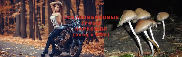 скорость Алексин