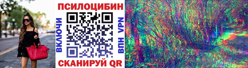 ОМГ ОМГ маркетплейс  где можно купить наркотик  Кемь  Псилоцибиновые грибы Psilocybine cubensis 